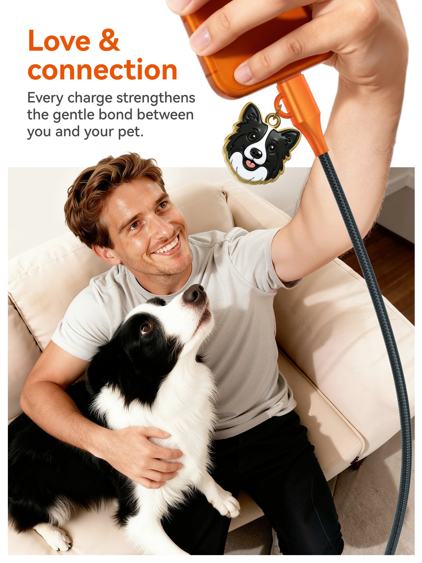 Border Collie Cable