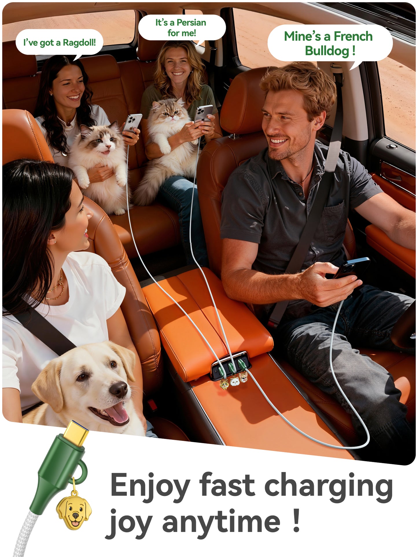 Labrador Retriever Cable