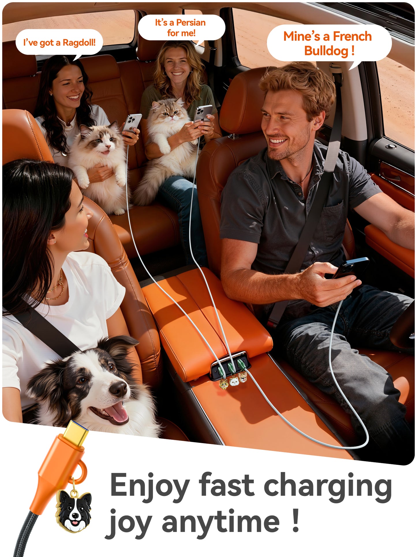 Border Collie Cable