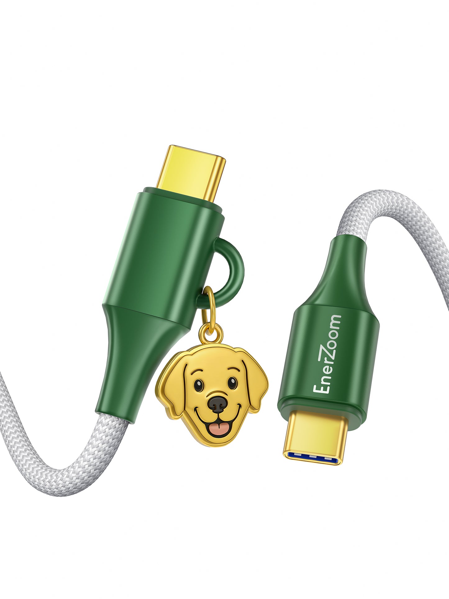 Labrador Retriever Cable