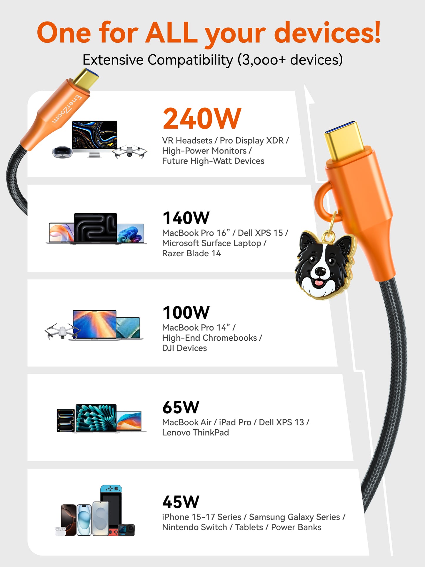 Border Collie Cable