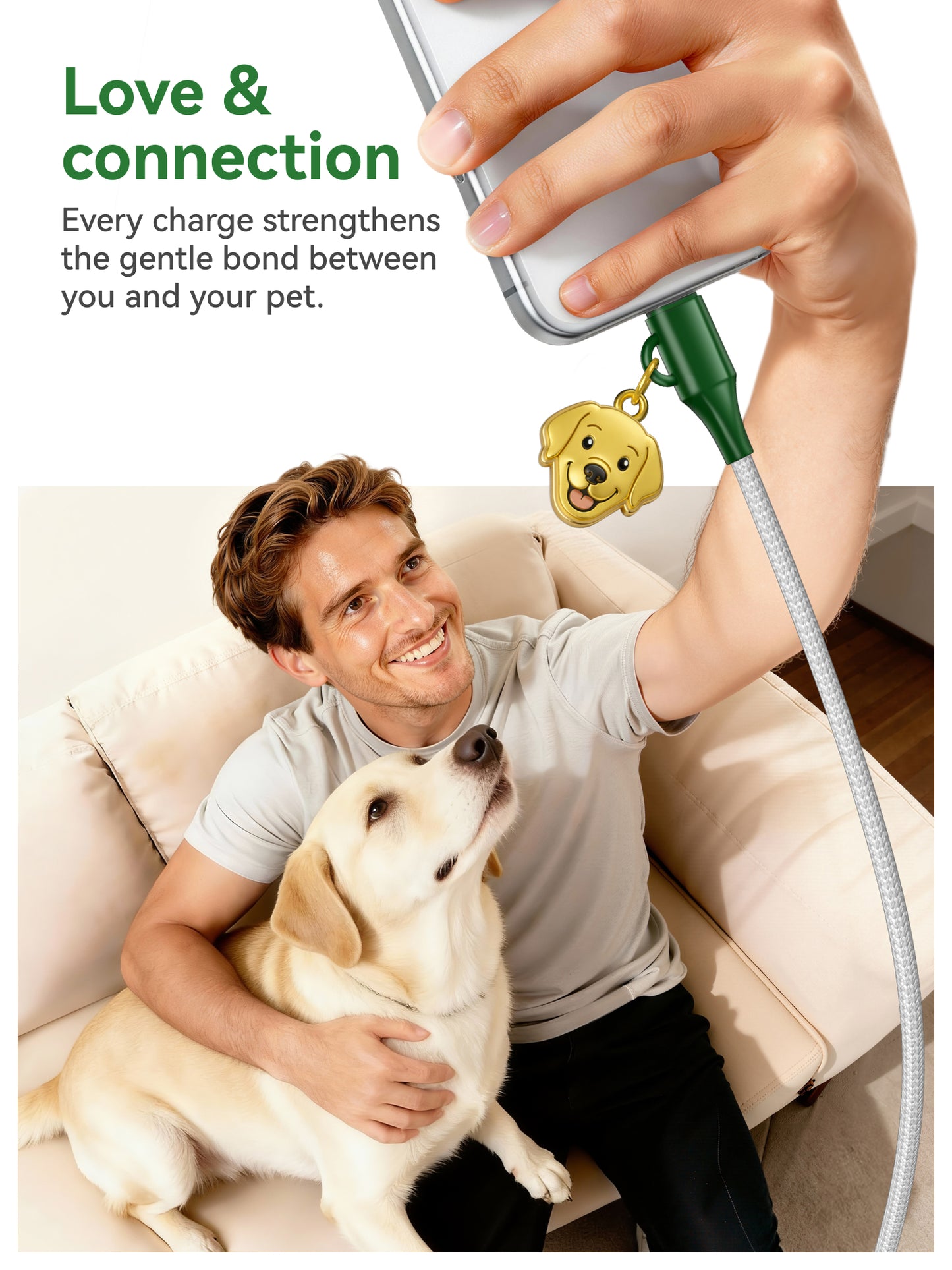 Labrador Retriever Cable