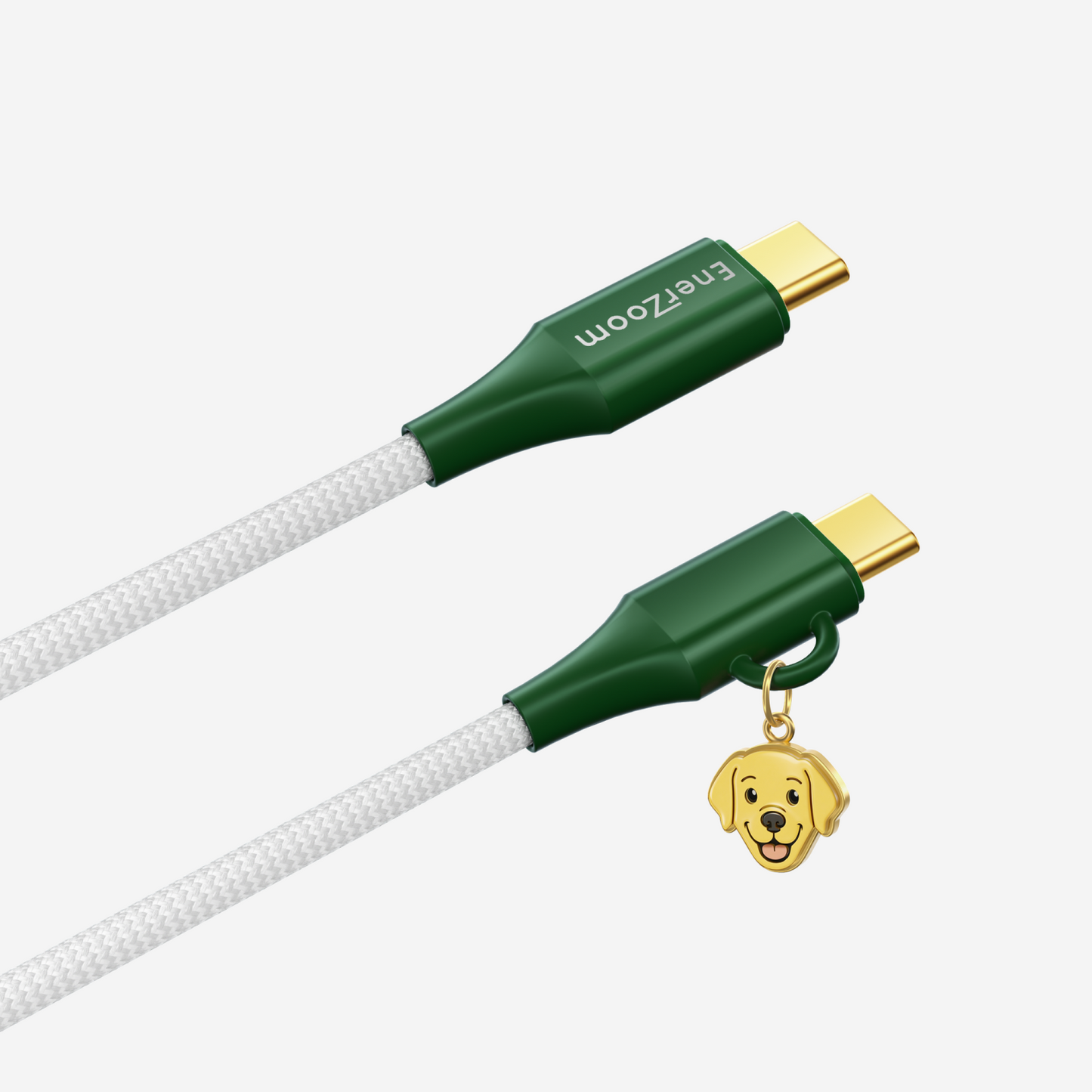 Labrador Retriever Cable