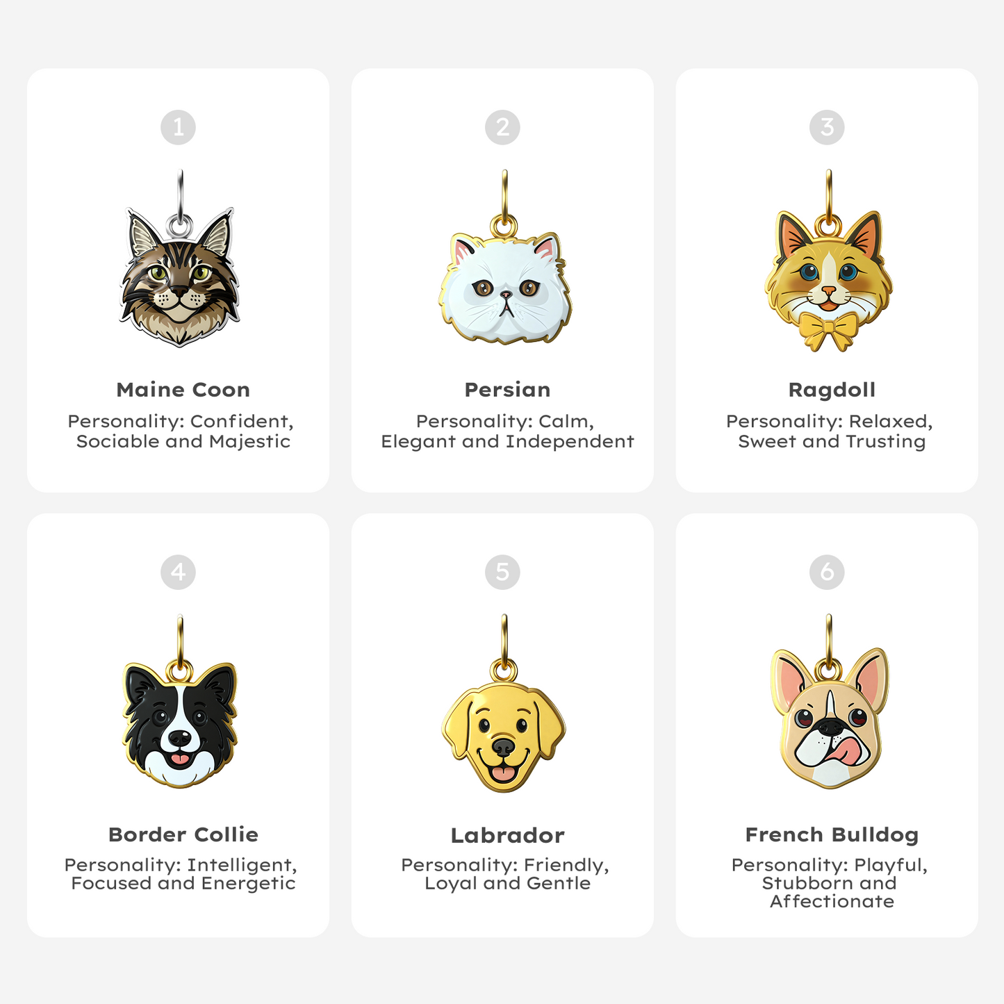 Labrador Retriever Cable